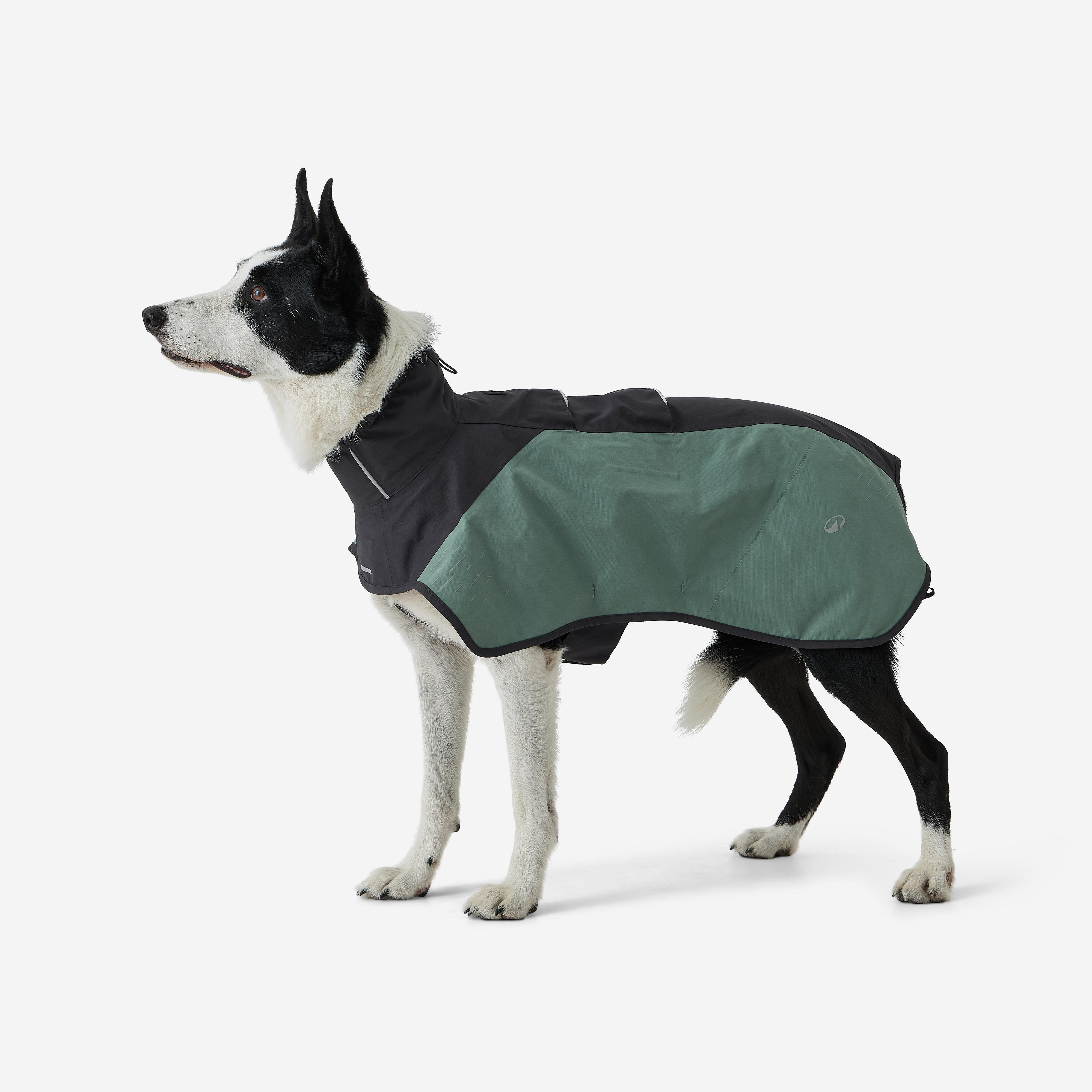 Waterproof dog coat - green