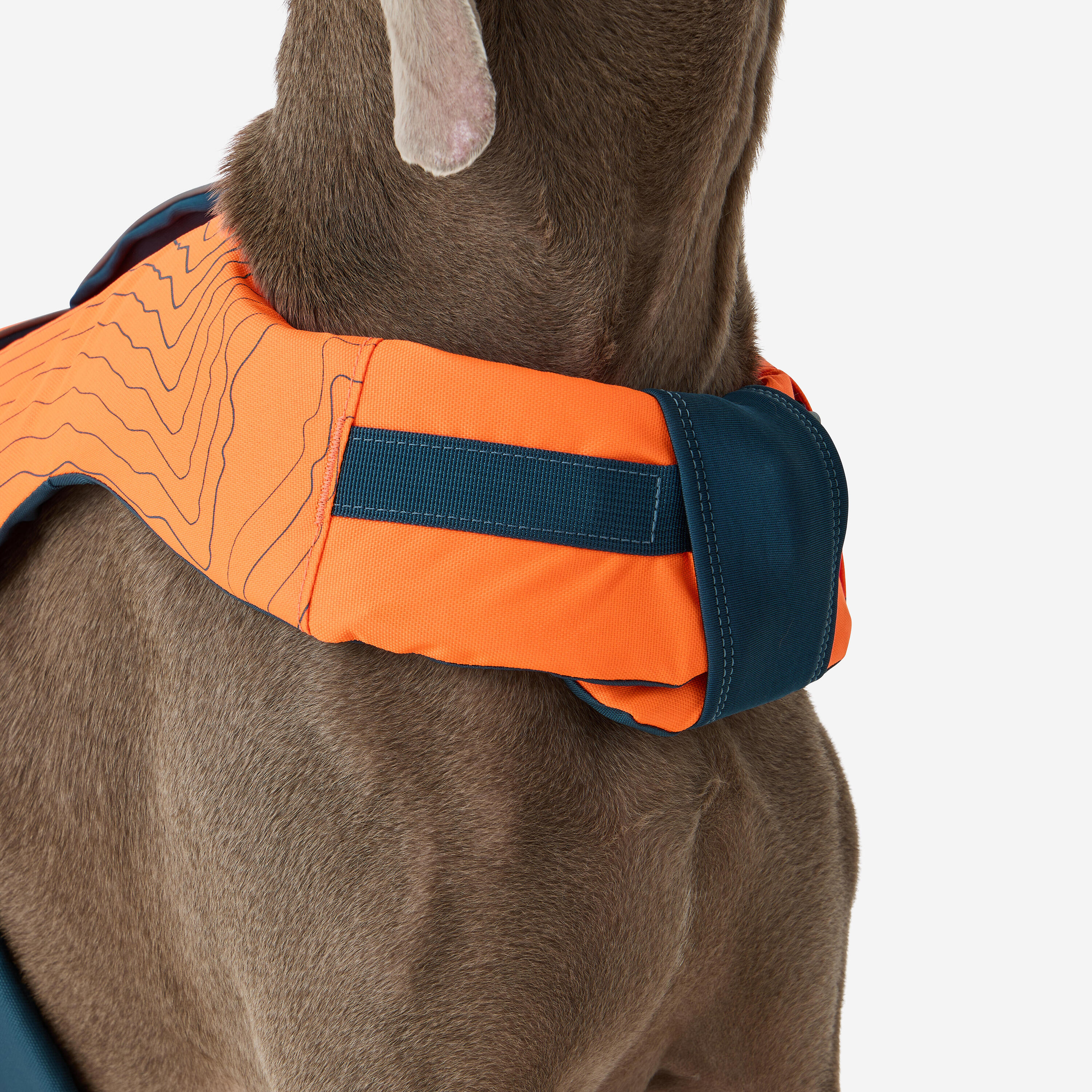 Gilet de flottaison pour chien 12/12