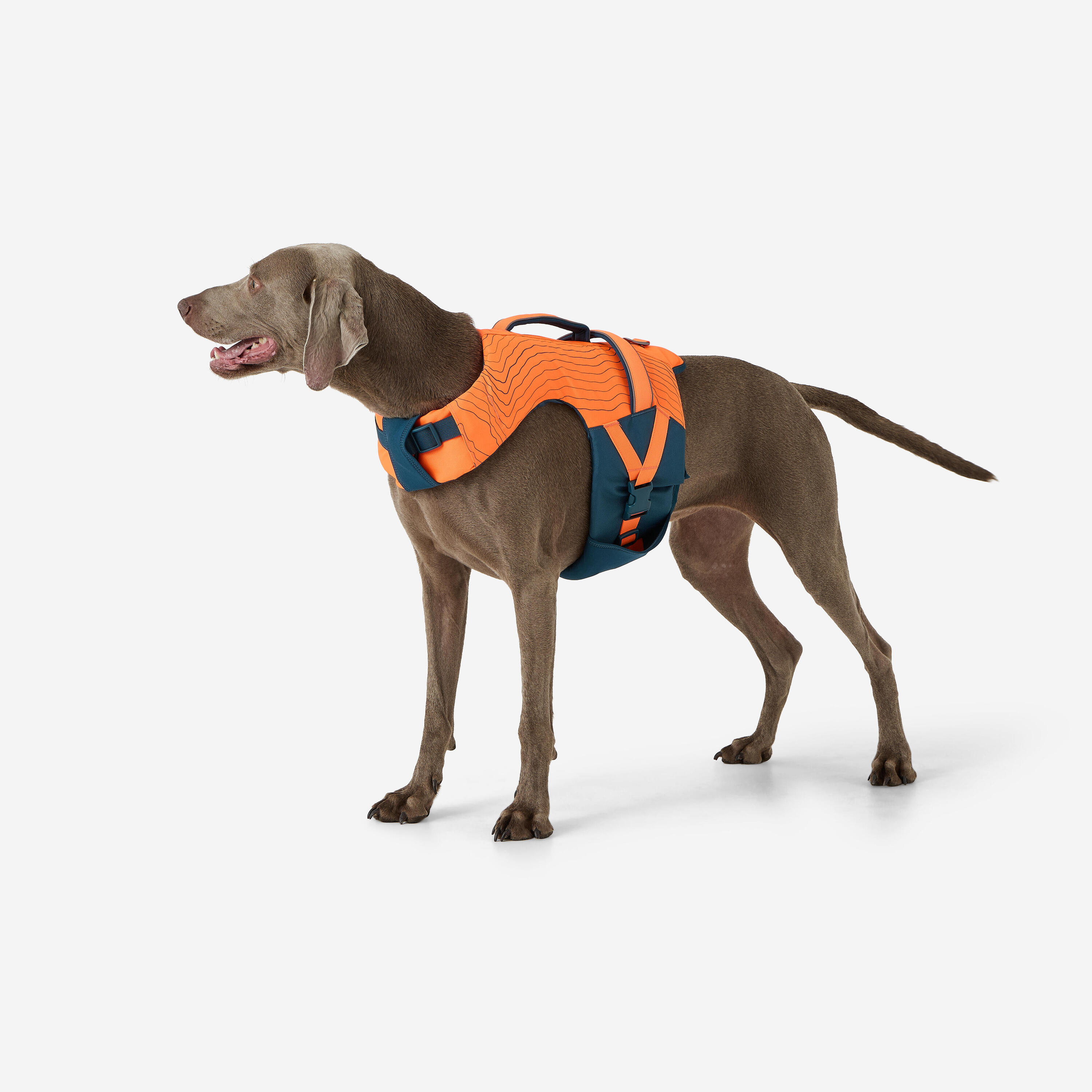 Gilet de flottaison pour chien 9/12