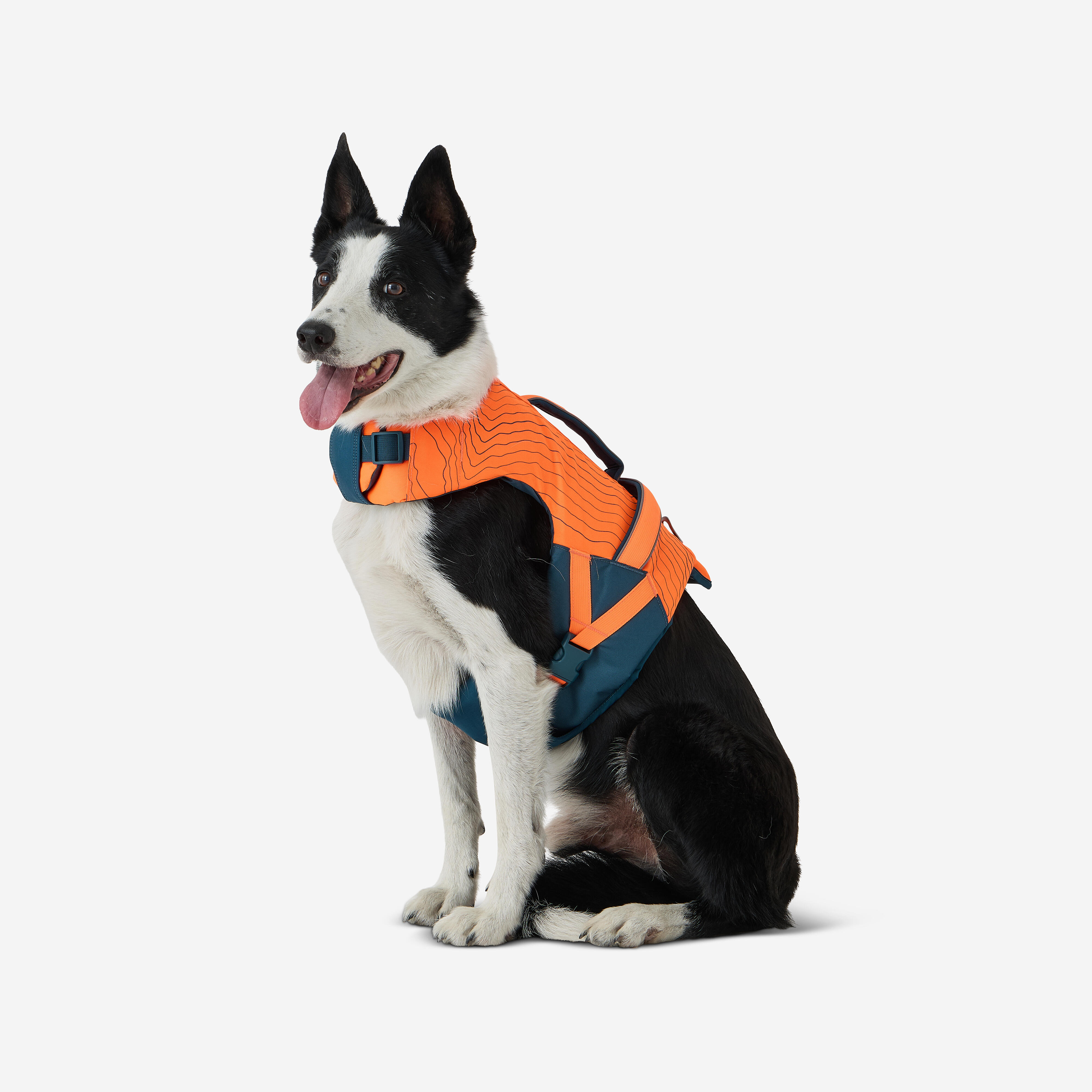 Gilet de flottaison pour chien - SOLOGNAC