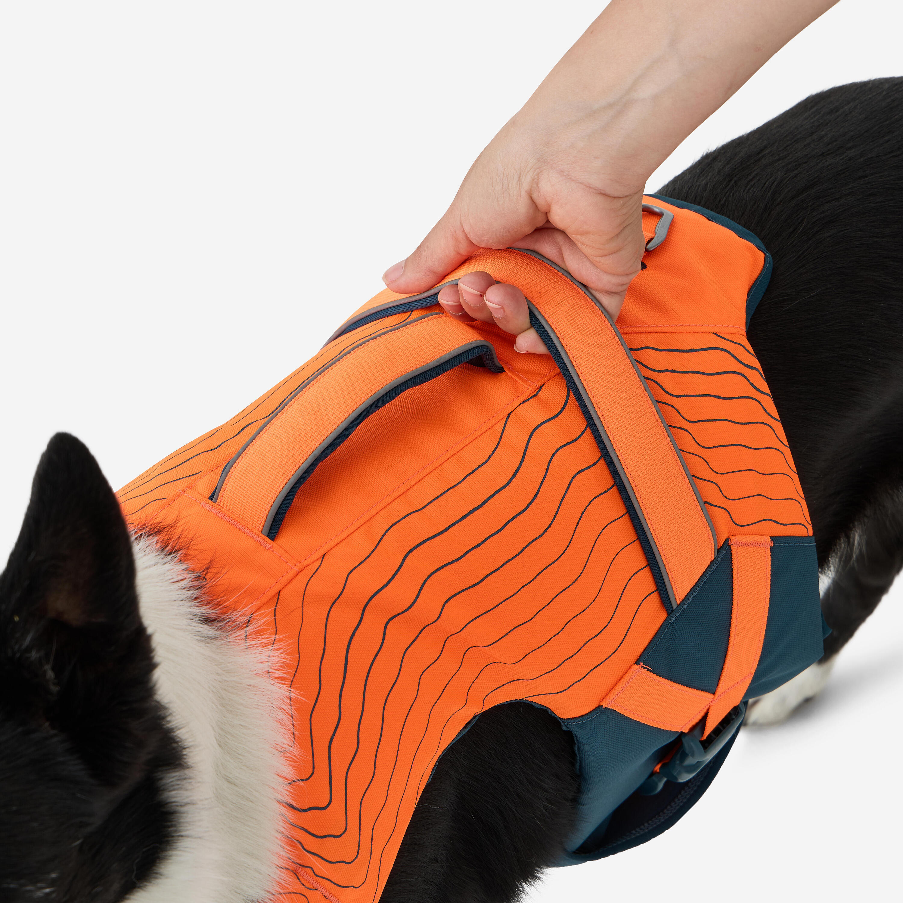 Gilet de flottaison pour chien 7/12