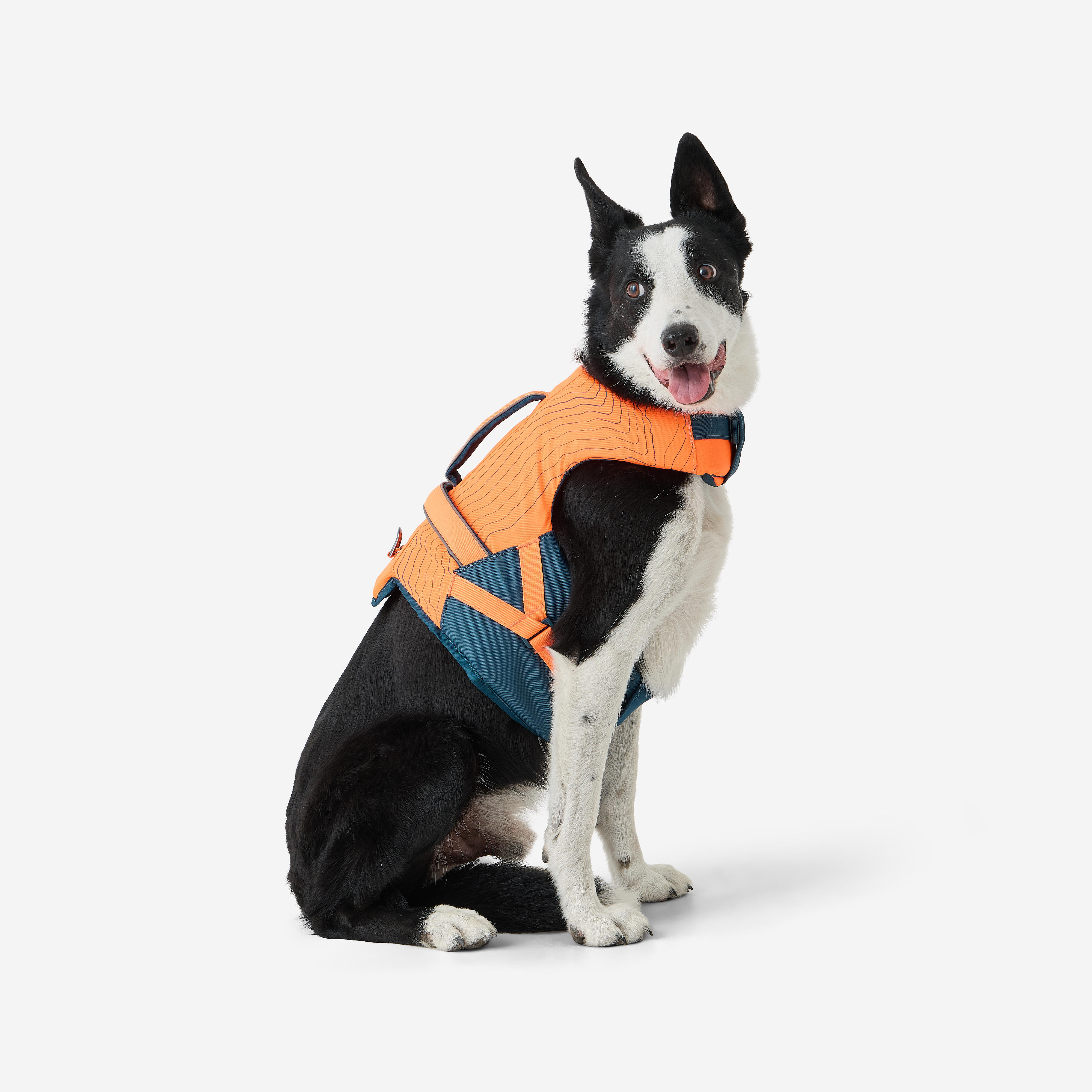 Gilet de flottaison pour chien - SOLOGNAC