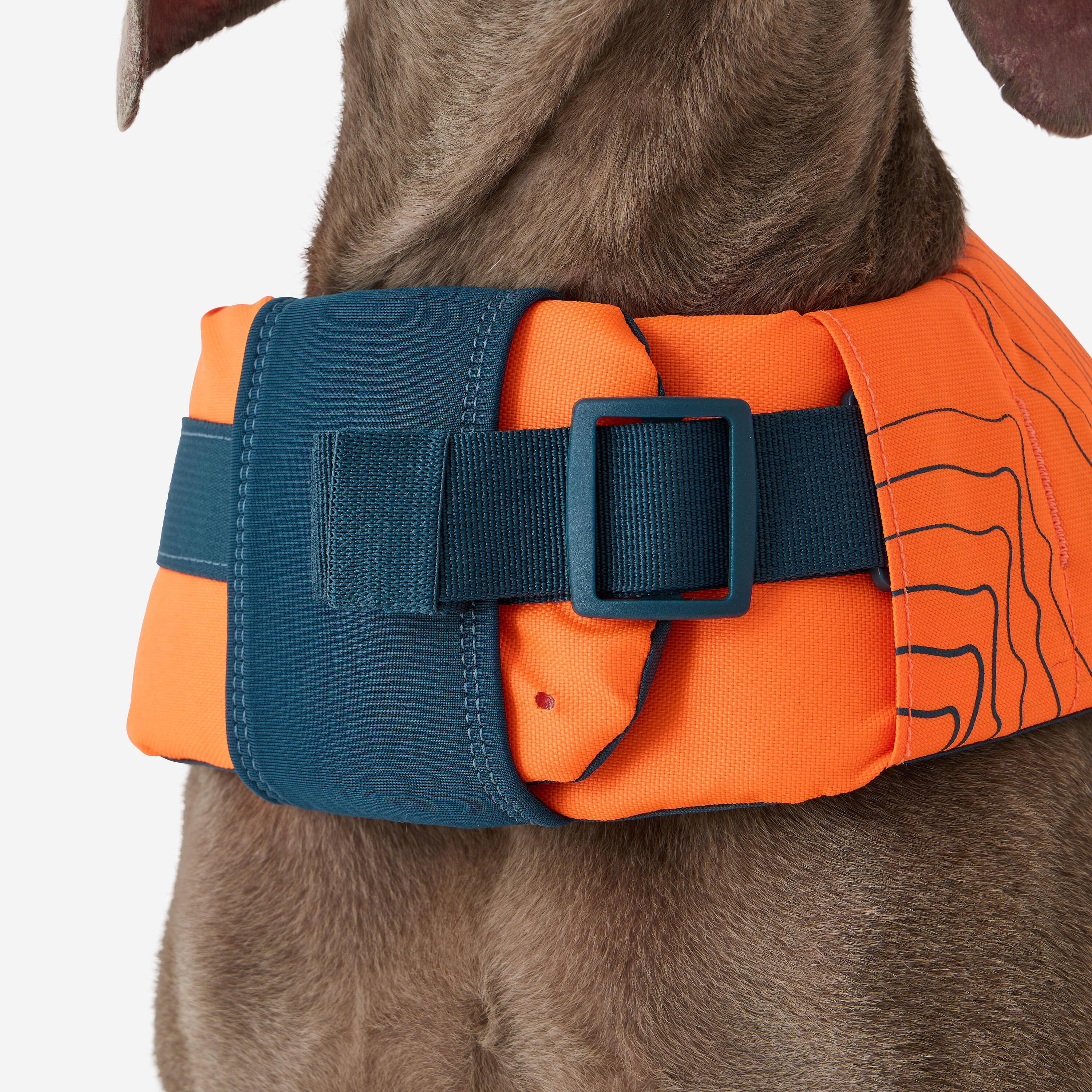 Gilet de flottaison pour chien 10/12
