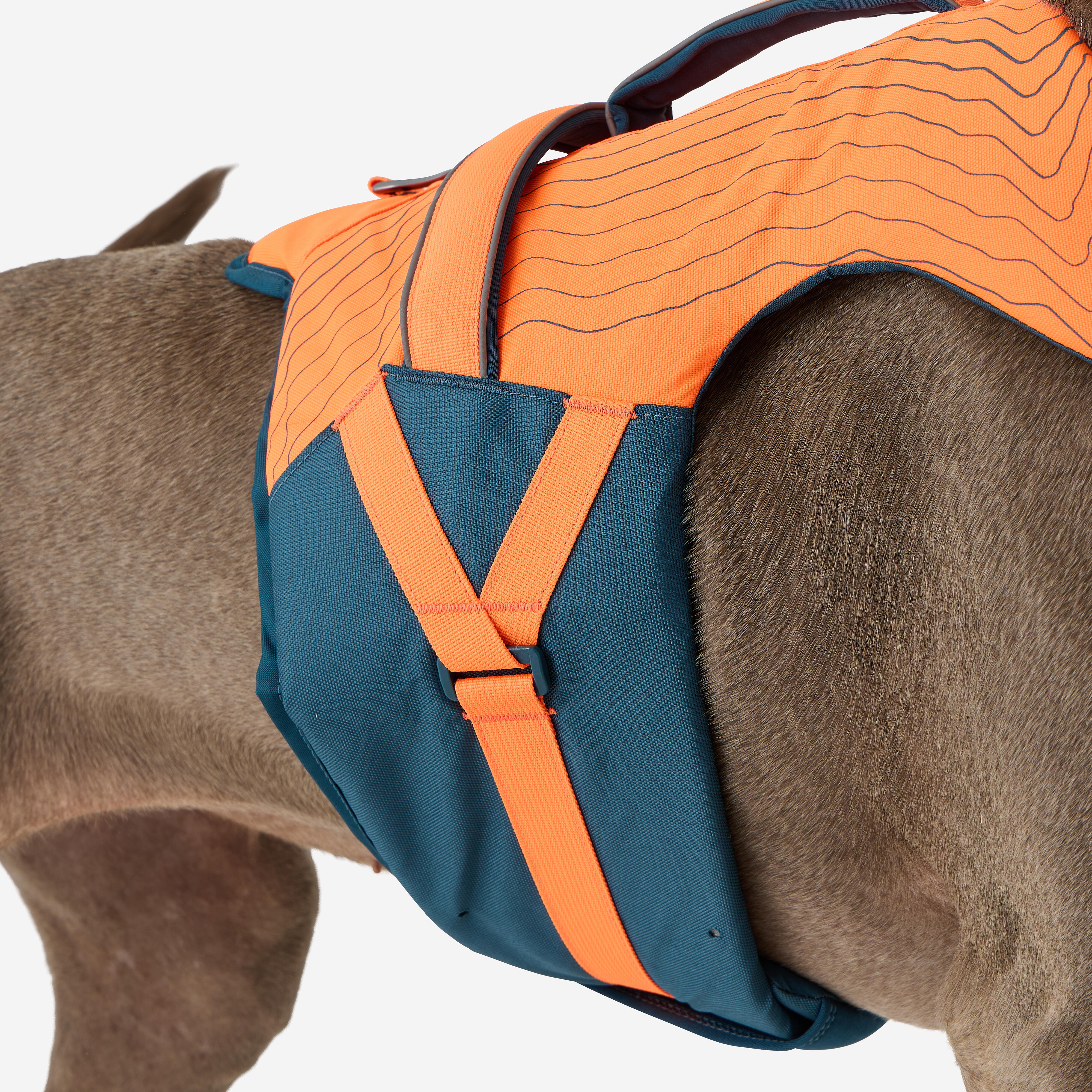 Gilet de flottaison pour chien - SOLOGNAC