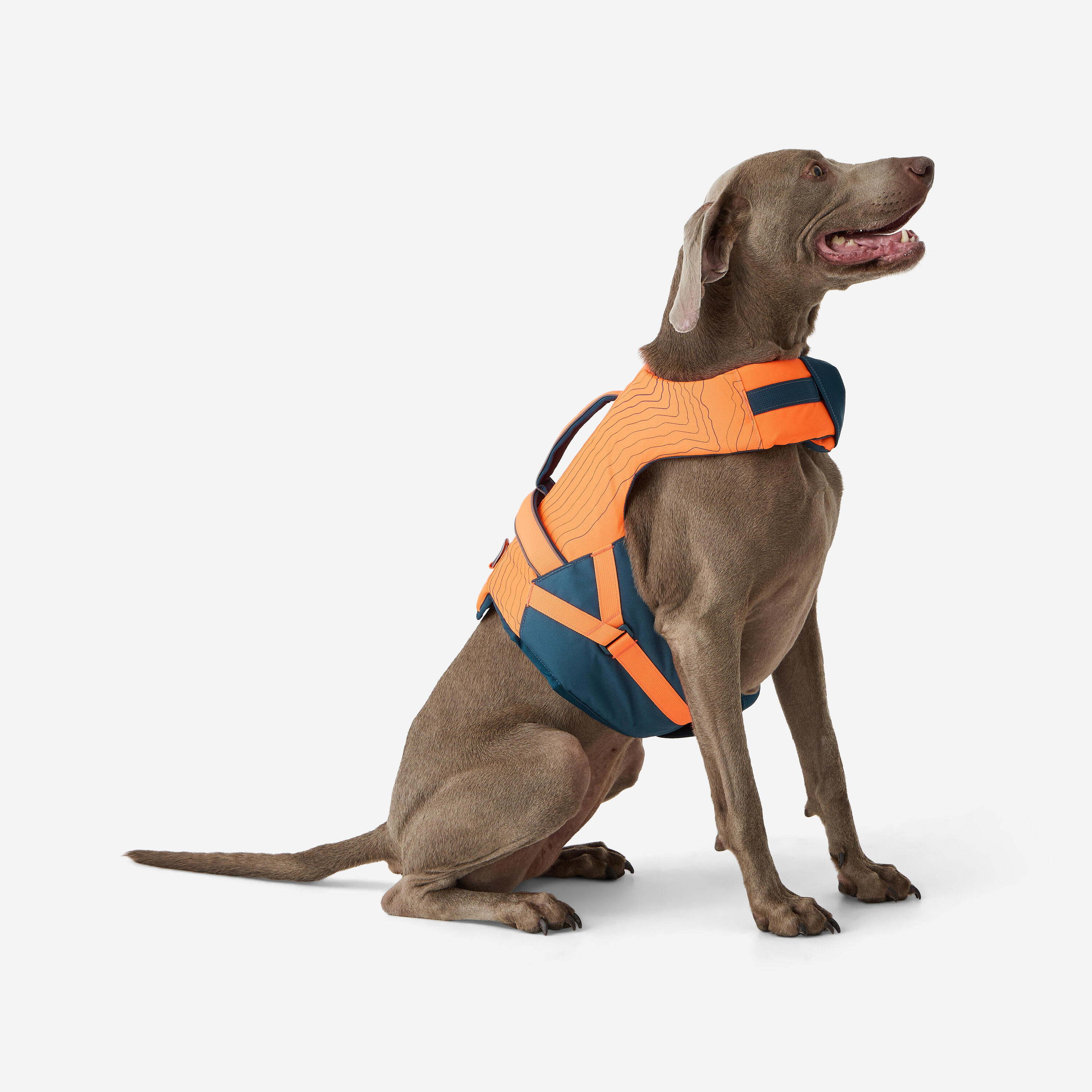 Gilet de flottaison pour chien 8/12