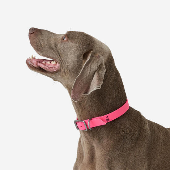 Collier pour chien 500 rose fluo