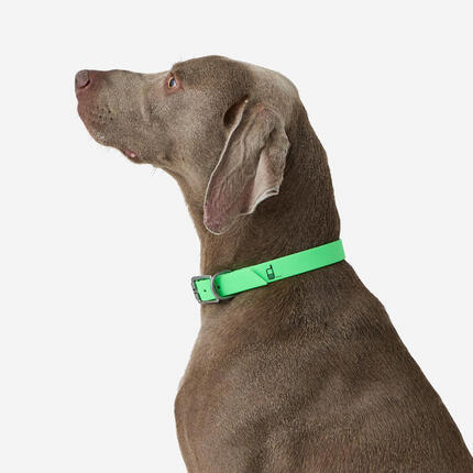 Collier pour chien 500 vert fluo