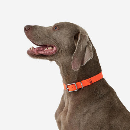 Collier pour chien 500 vert fluo
