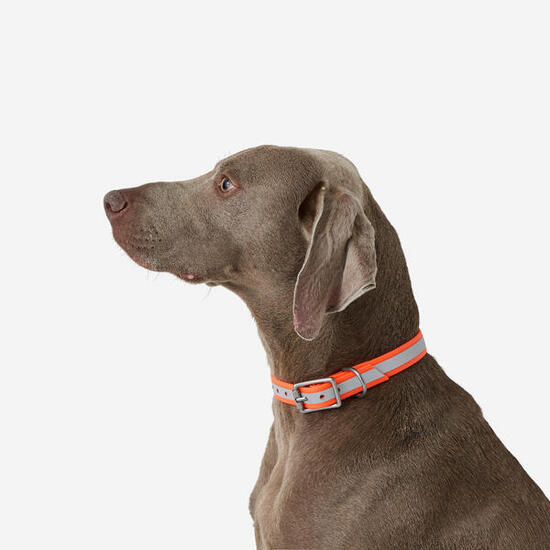 Collier réfléchissant pour chien 500 orange fluo