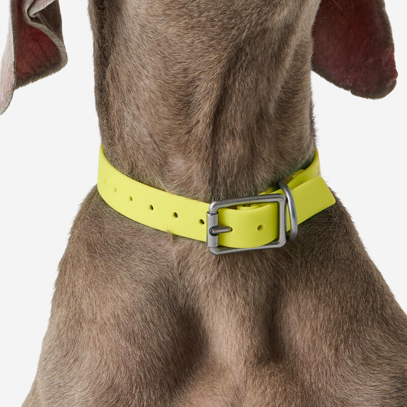 Zgardă câine 500 Galben Fluo