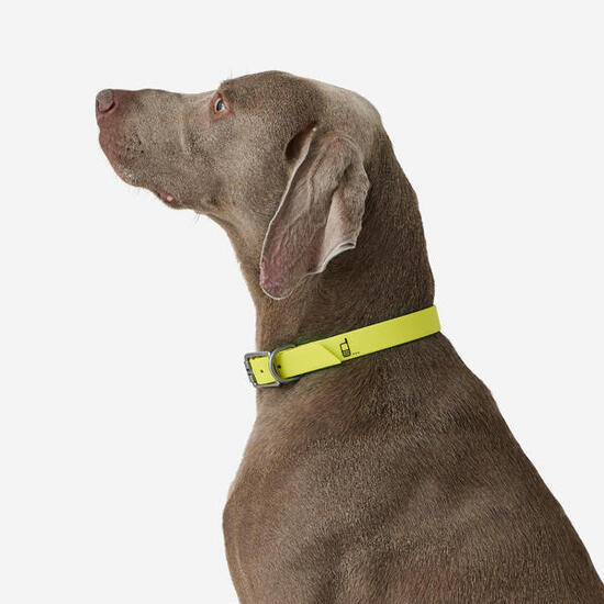 Collier pour chien 500 jaune fluo