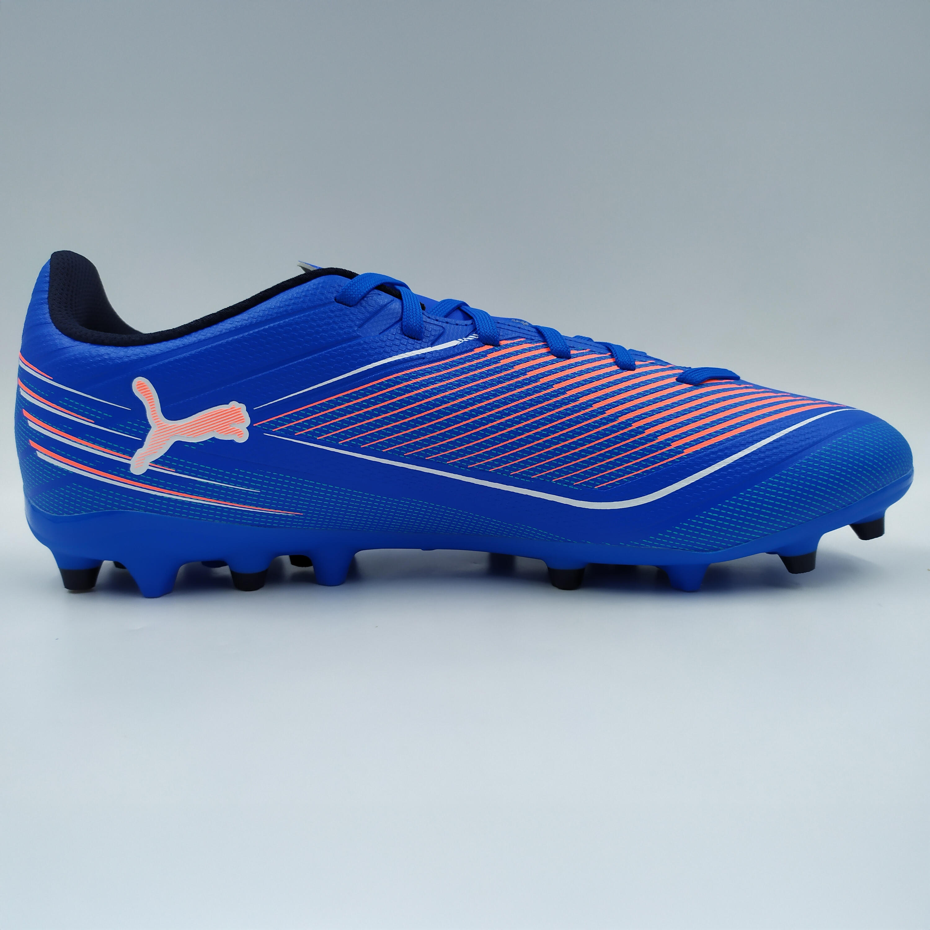 PUMA picture