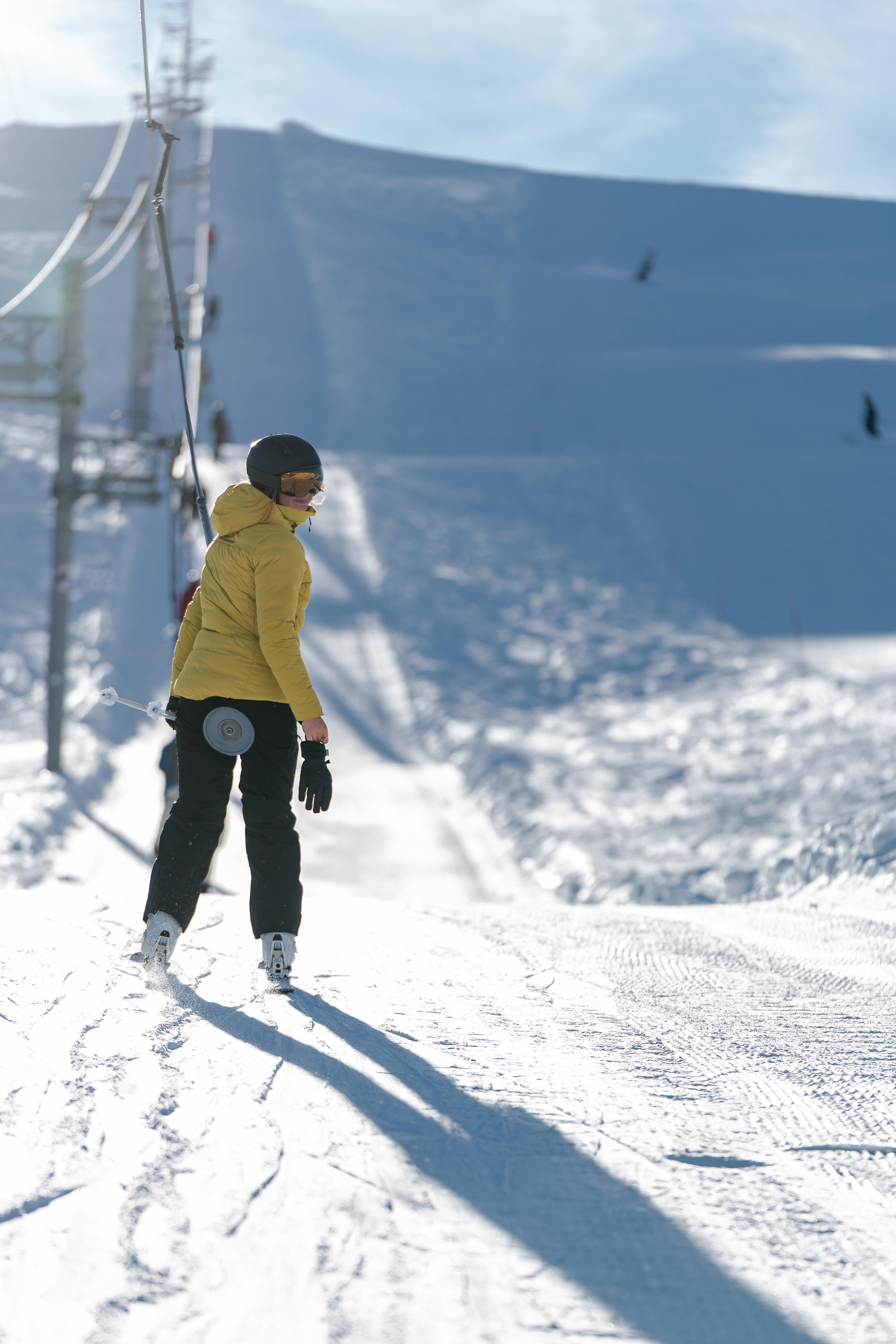 Skier
