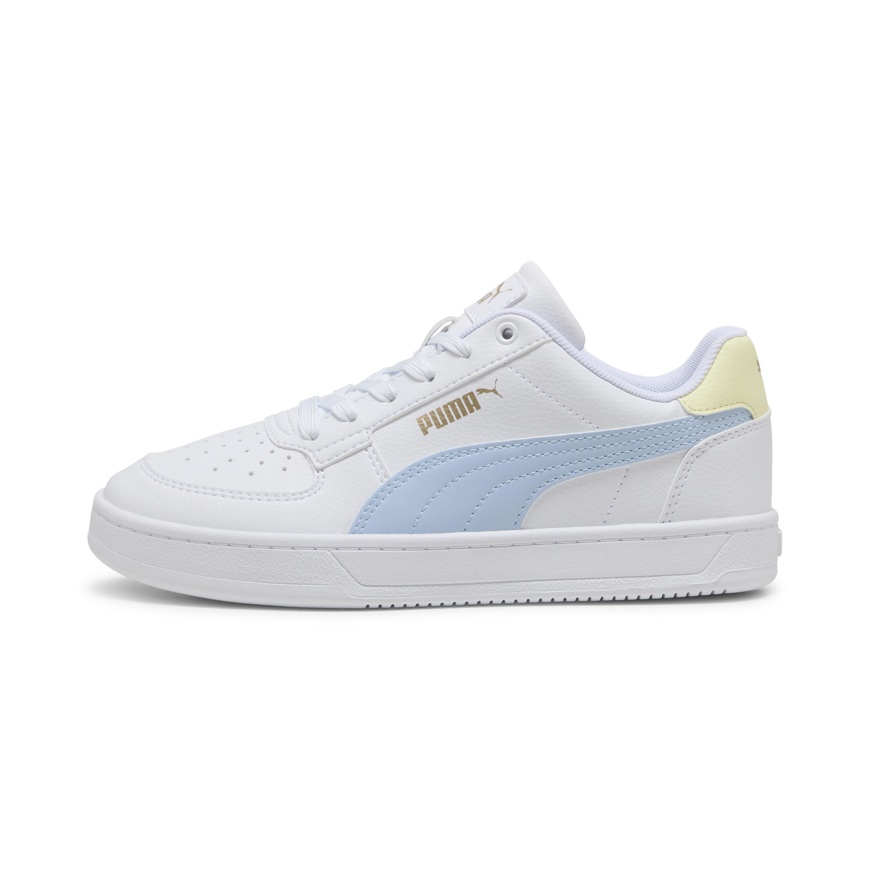 PUMA picture
