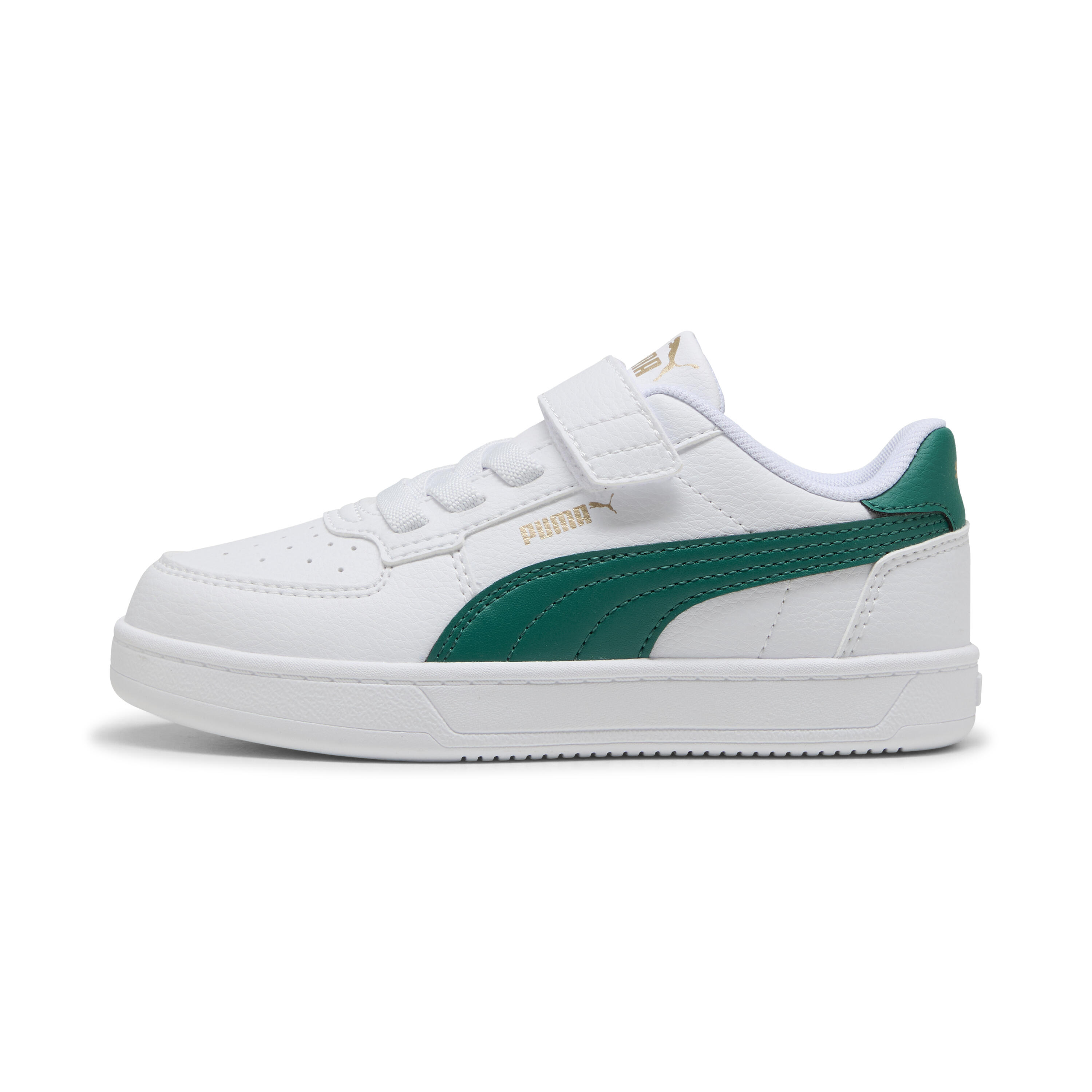 PUMA picture