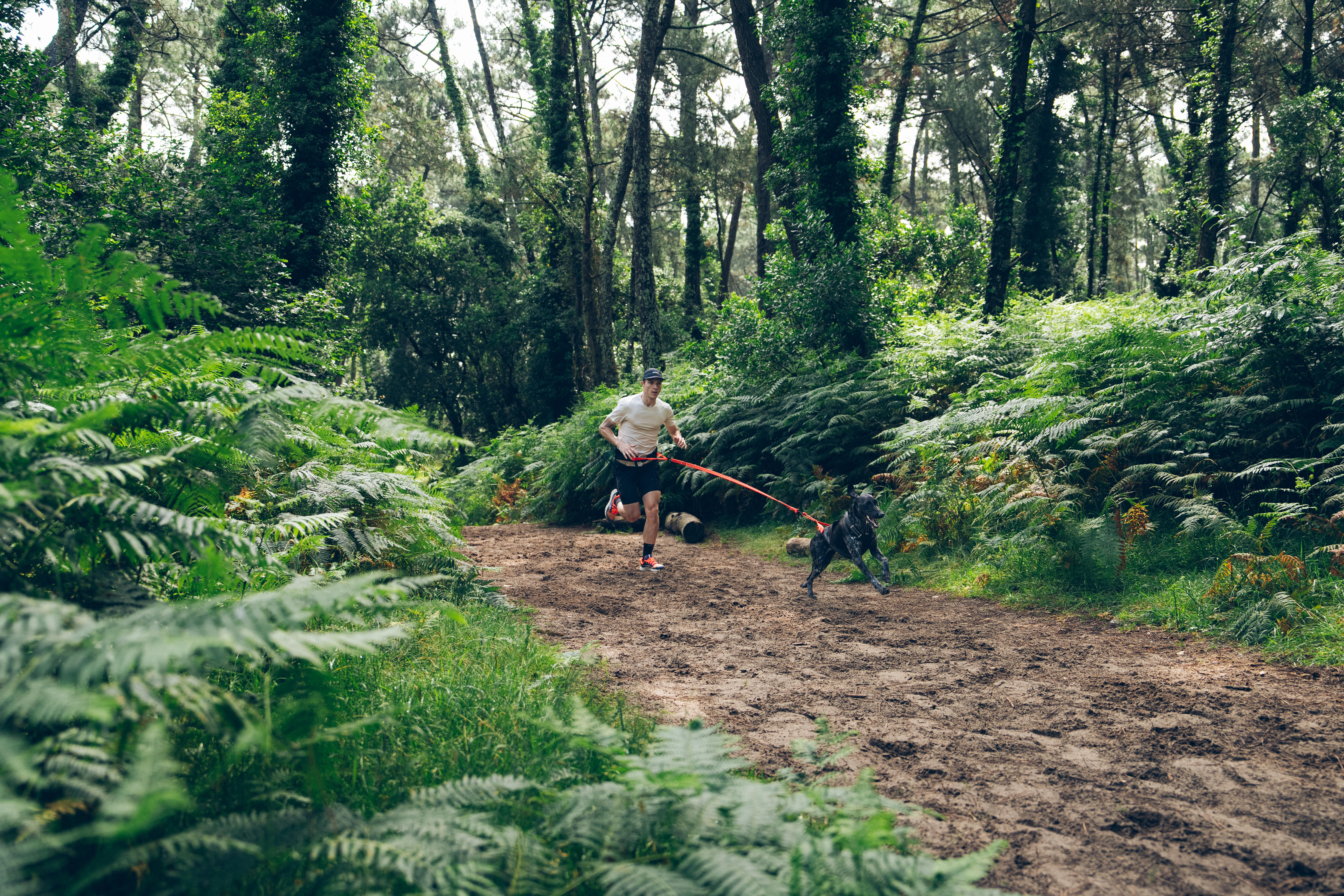 X-Back Pull Harness for Dogs - CAPERLAN