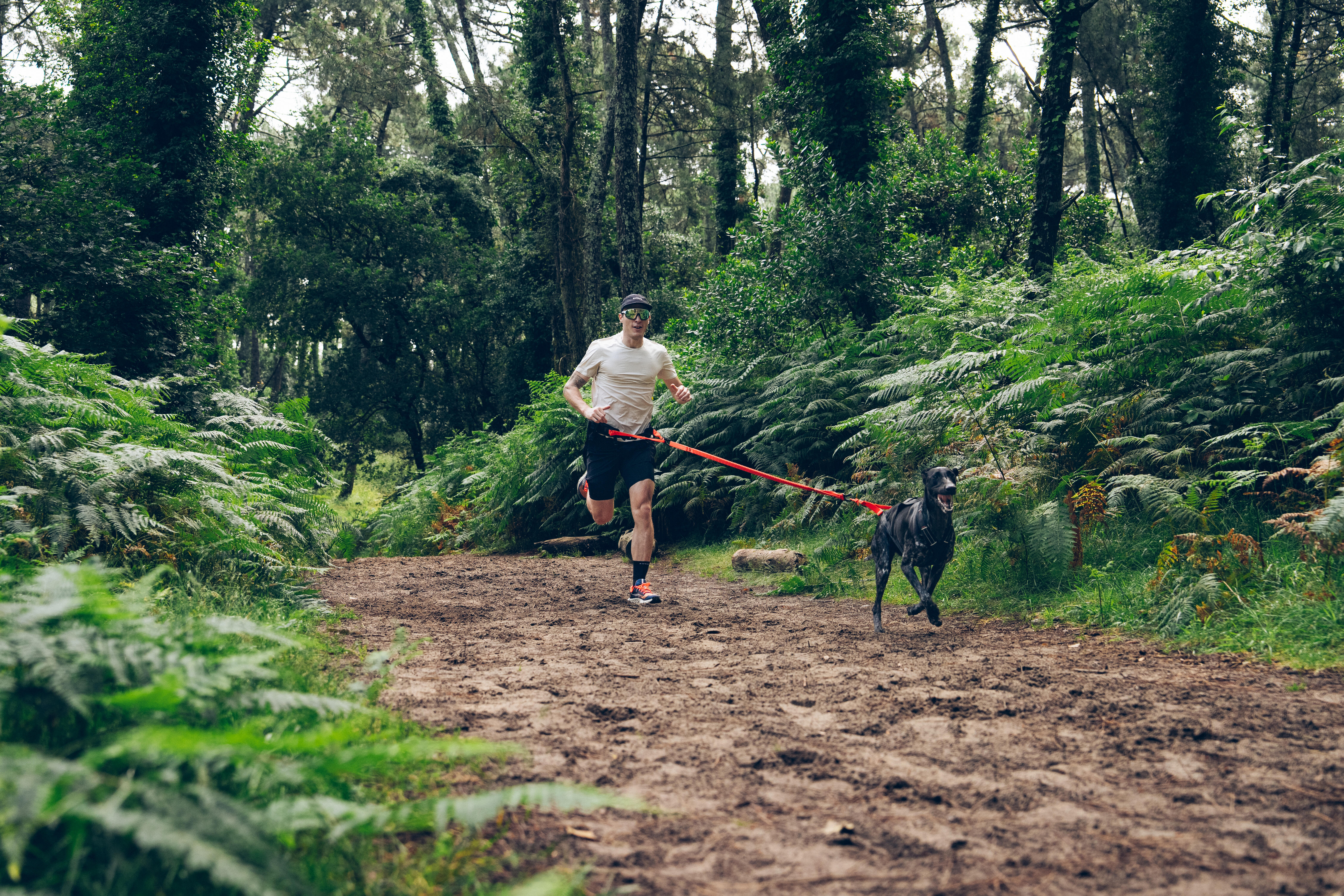 X-Back Pull Harness for Dogs - CAPERLAN