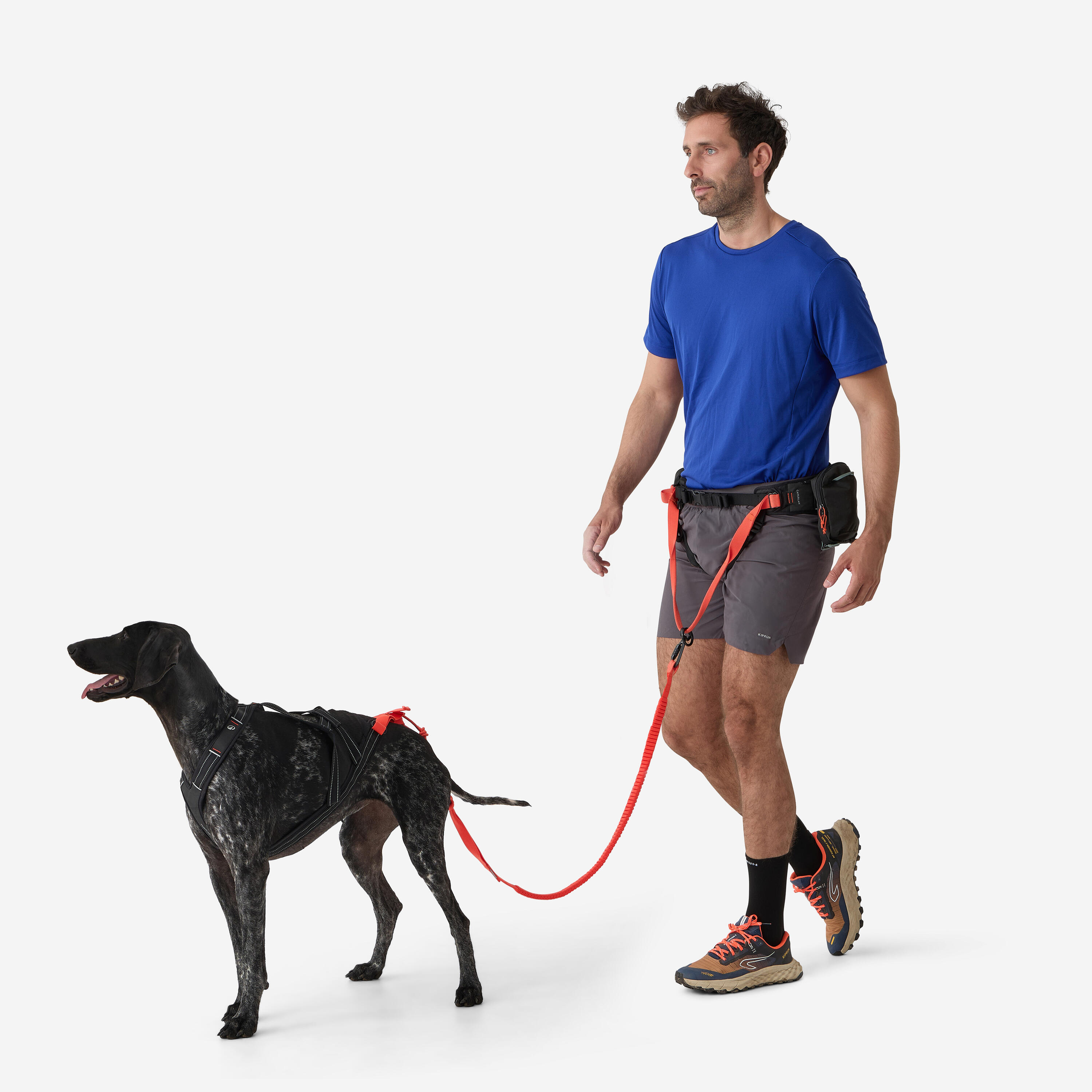 Canicross Line Canicross Leads NEEWA Bungee Line Lead Zooplus