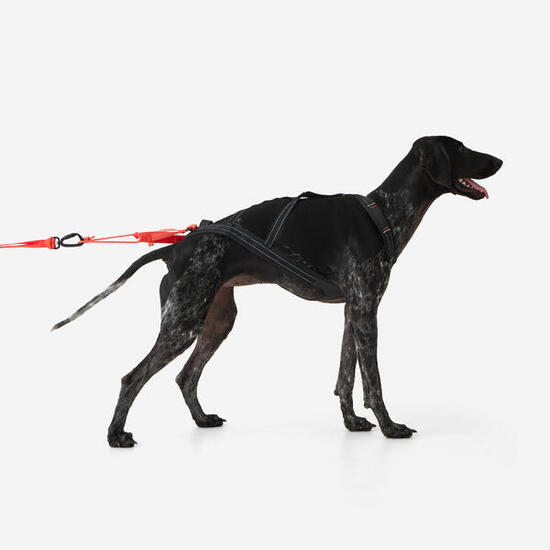 Imbracatura cane X-BACK trazione