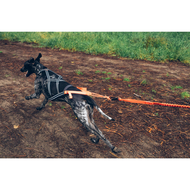 Harnais De Traction Pour Chien En Nylon Avec Bande Réfléchissante