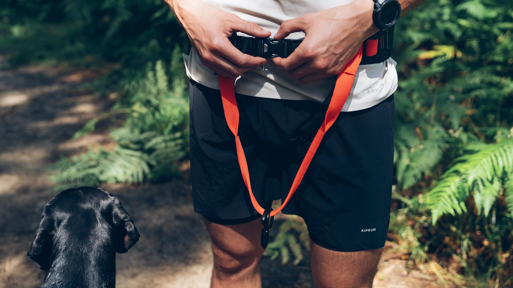 Nahaufnahme von Person beim Anziehen seines Canicross Gürtels im Wald, während der Hund daneben wartet