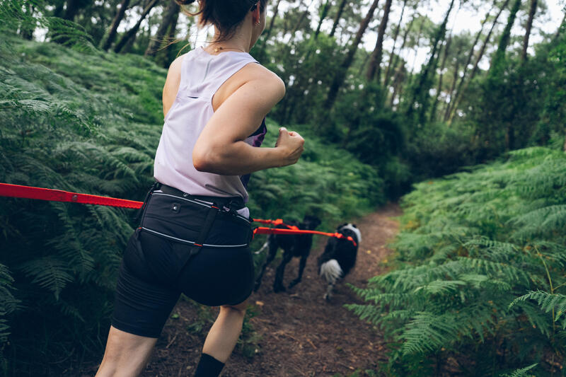 Comment choisir son matériel de canicross ?