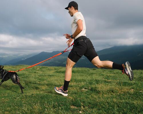 Chien qui court avec son maître en montagne