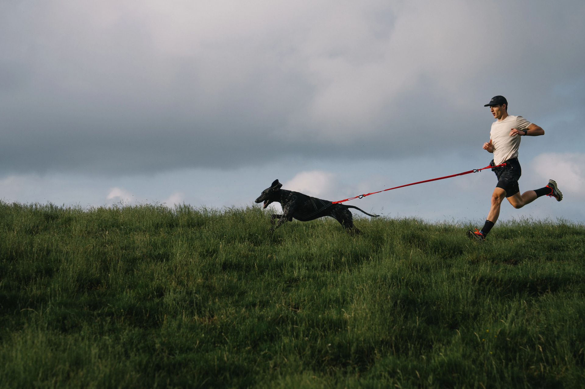 The pet owner practising dog hiking with their dog