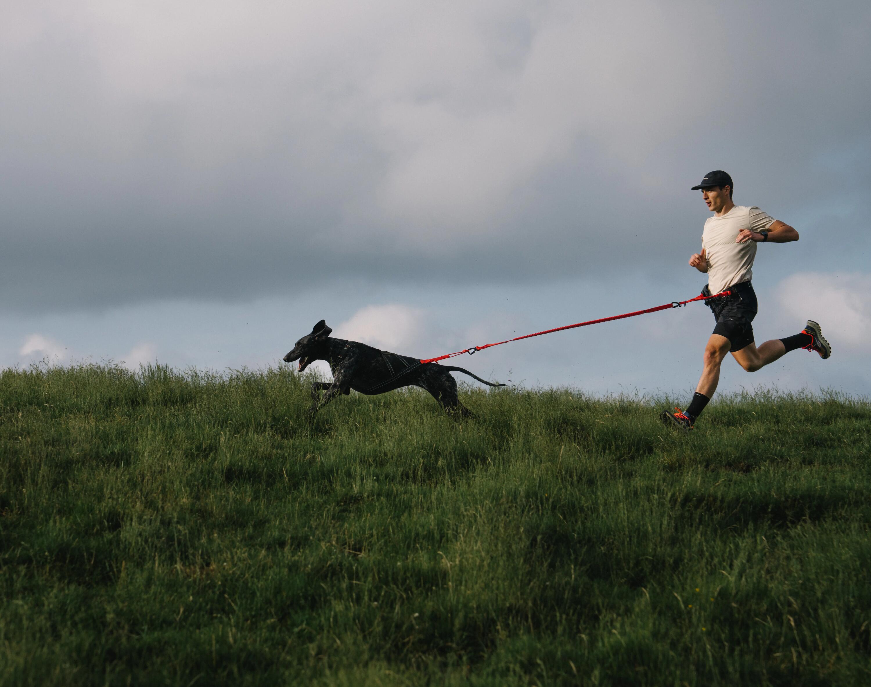 Running, canicross trail