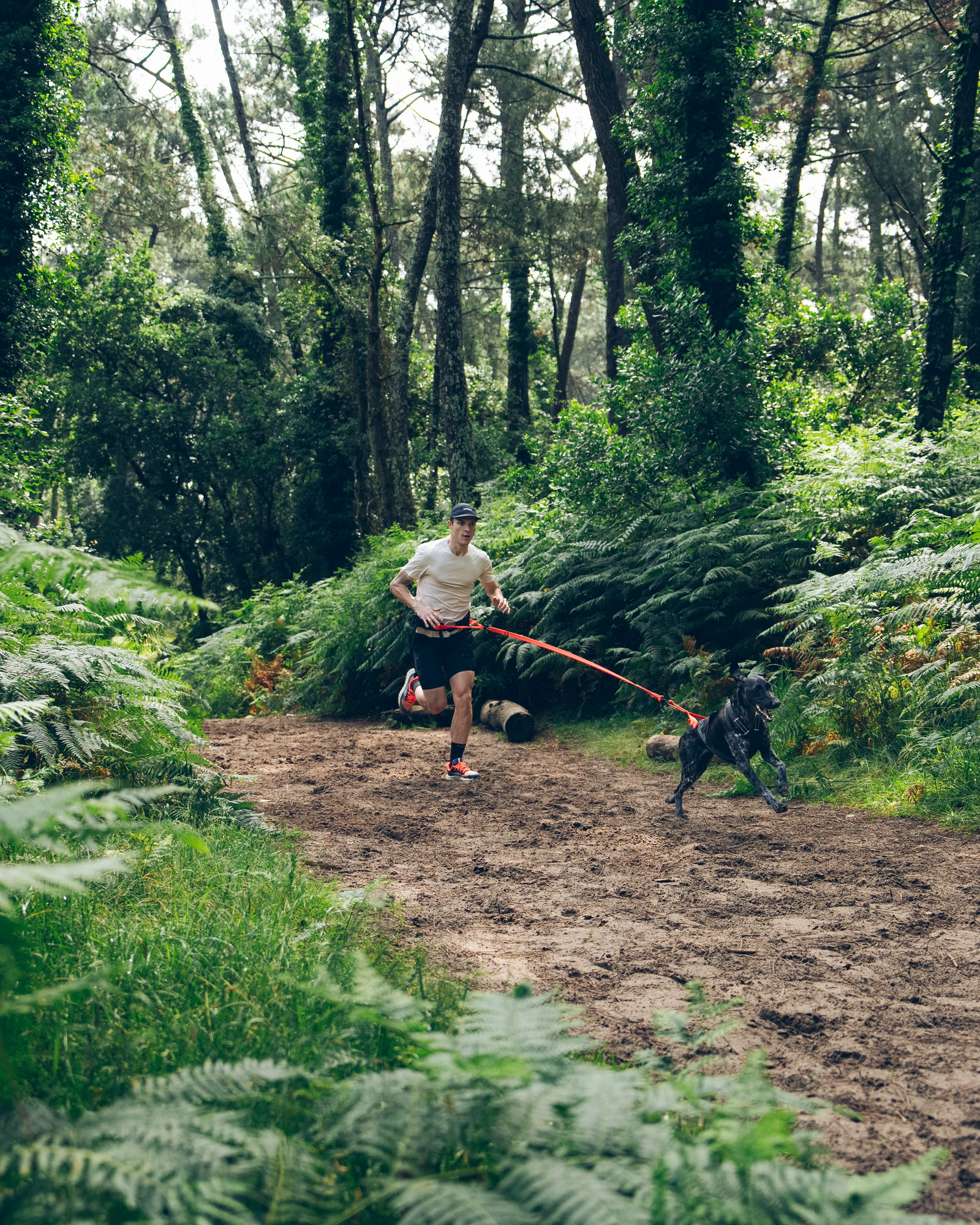 Ein Mann der im Wald mit seinem hund canicross betreibt