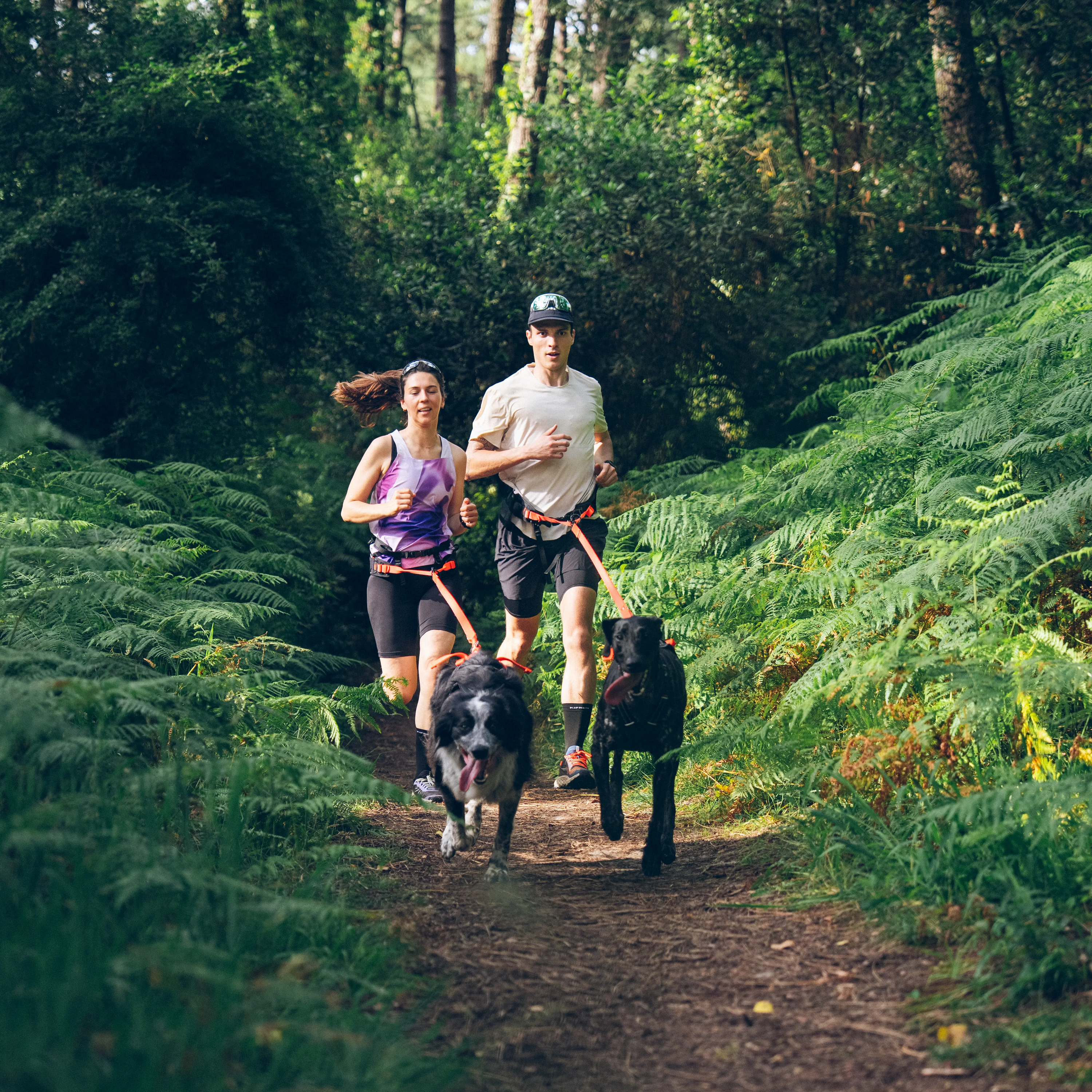Running y trail con perro, runners