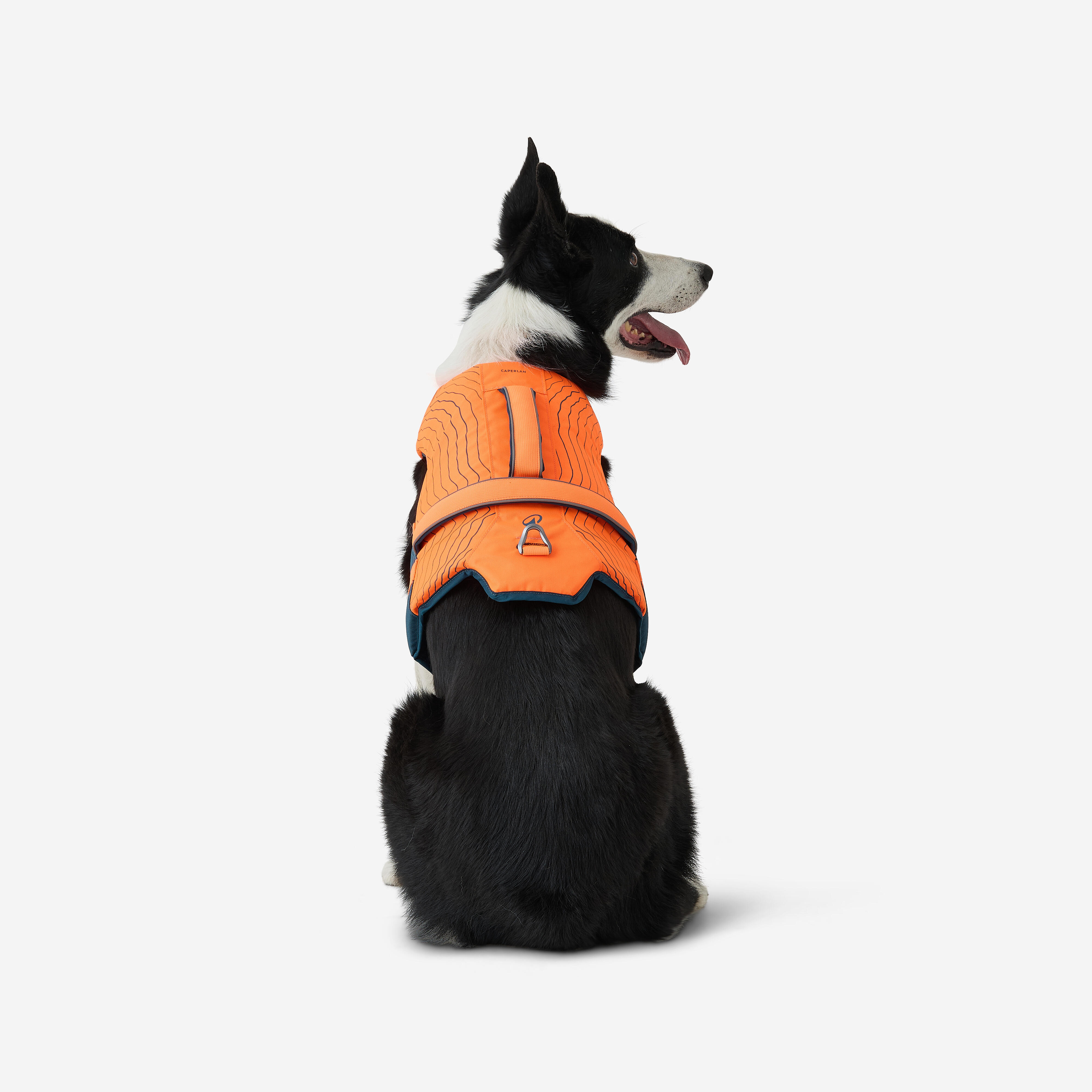 Gilet de flottaison pour chien - SOLOGNAC