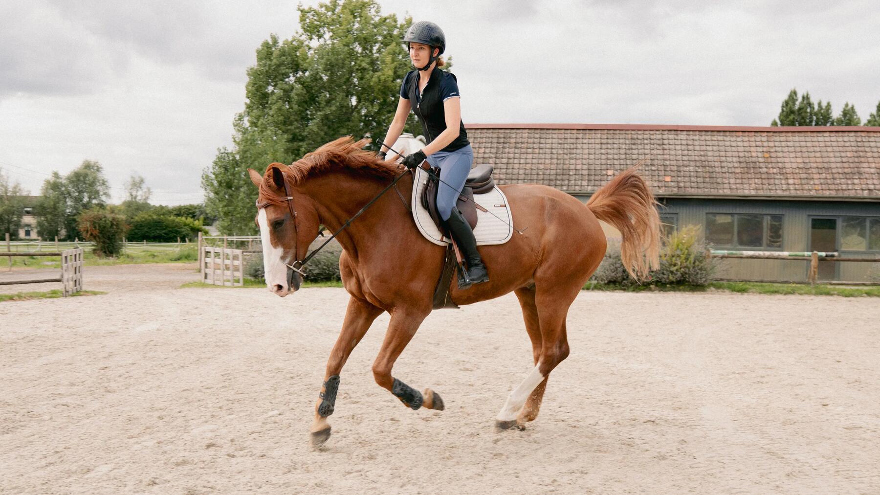 Erfahre hier, wie gesund das Reiten ist!
