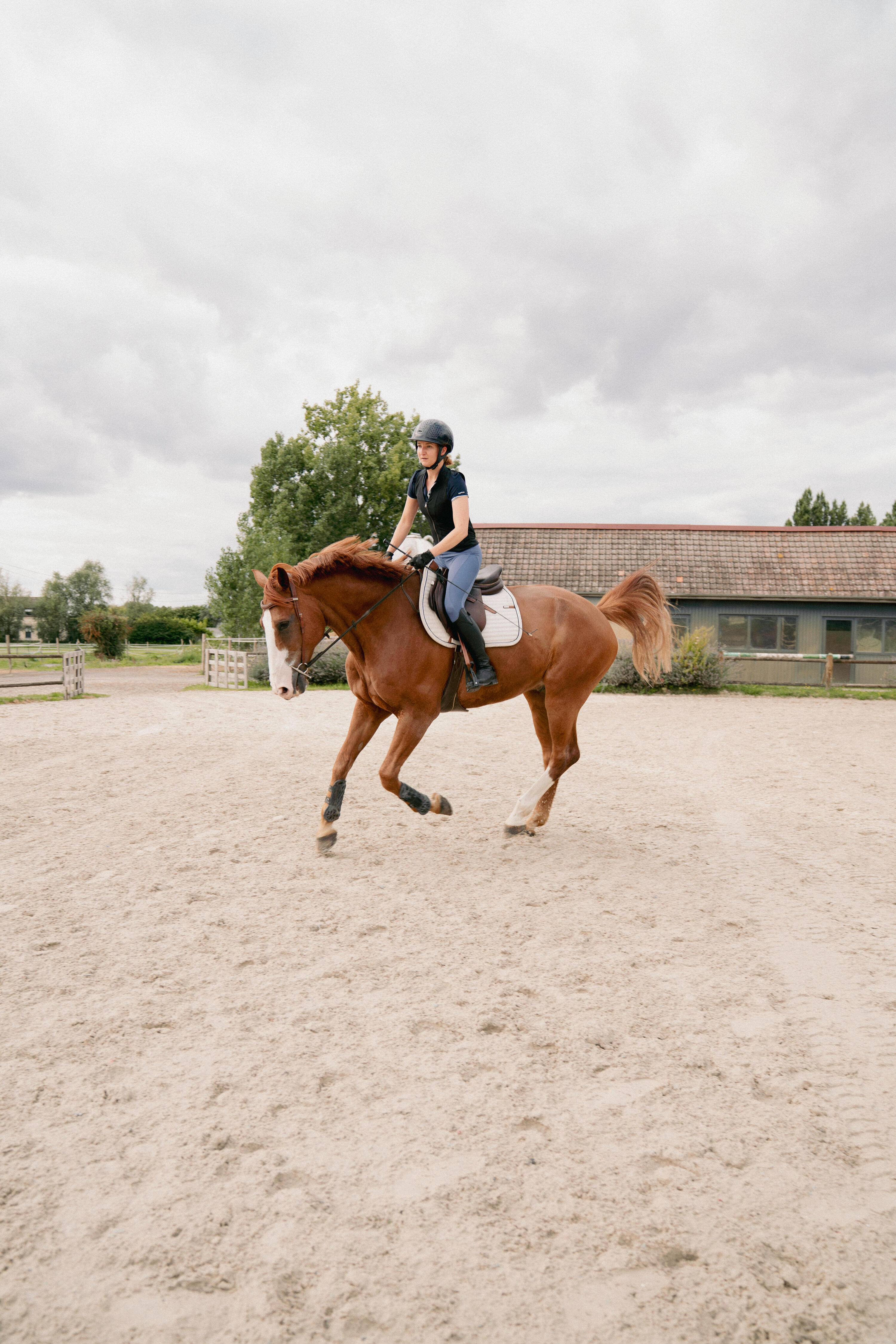 Dorsale d'équitation Souple 500 Adulte Noir D3O® 10/11