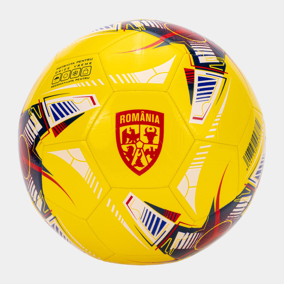 Lorem Ipsum Dolor Sit Amet Conseguetur