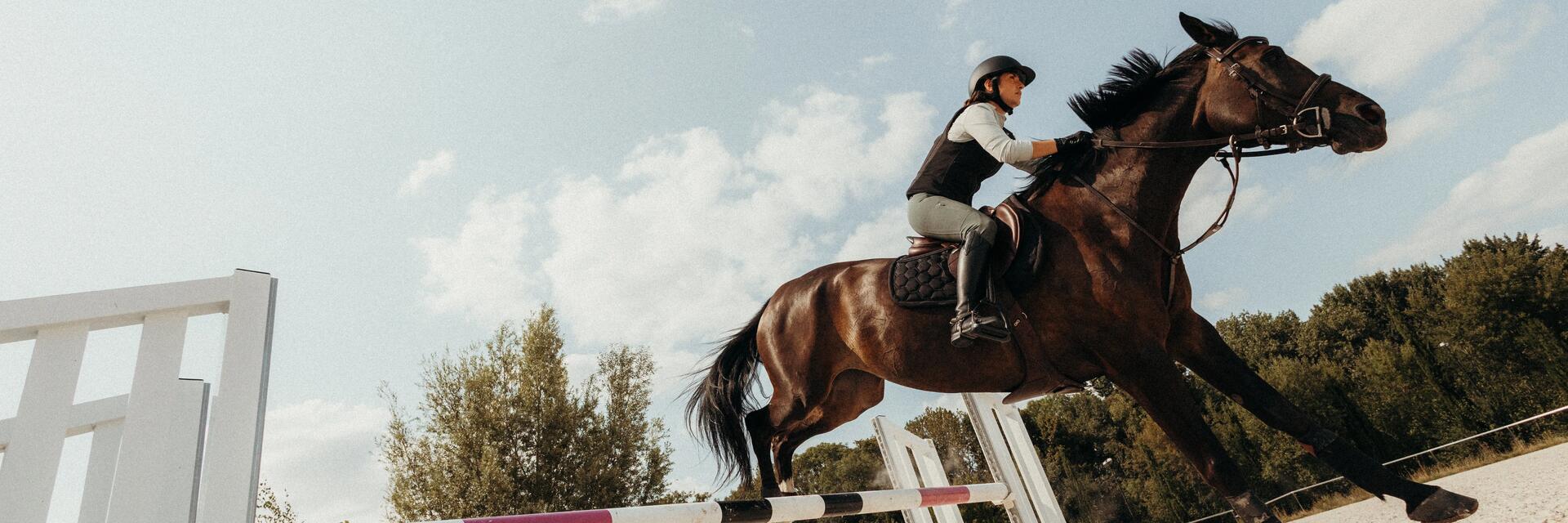 Erfolgreiche Reitsaison in der Schweiz