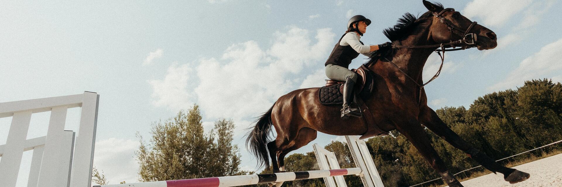 les tapis de selle et les amortisseurs pour l'équitation