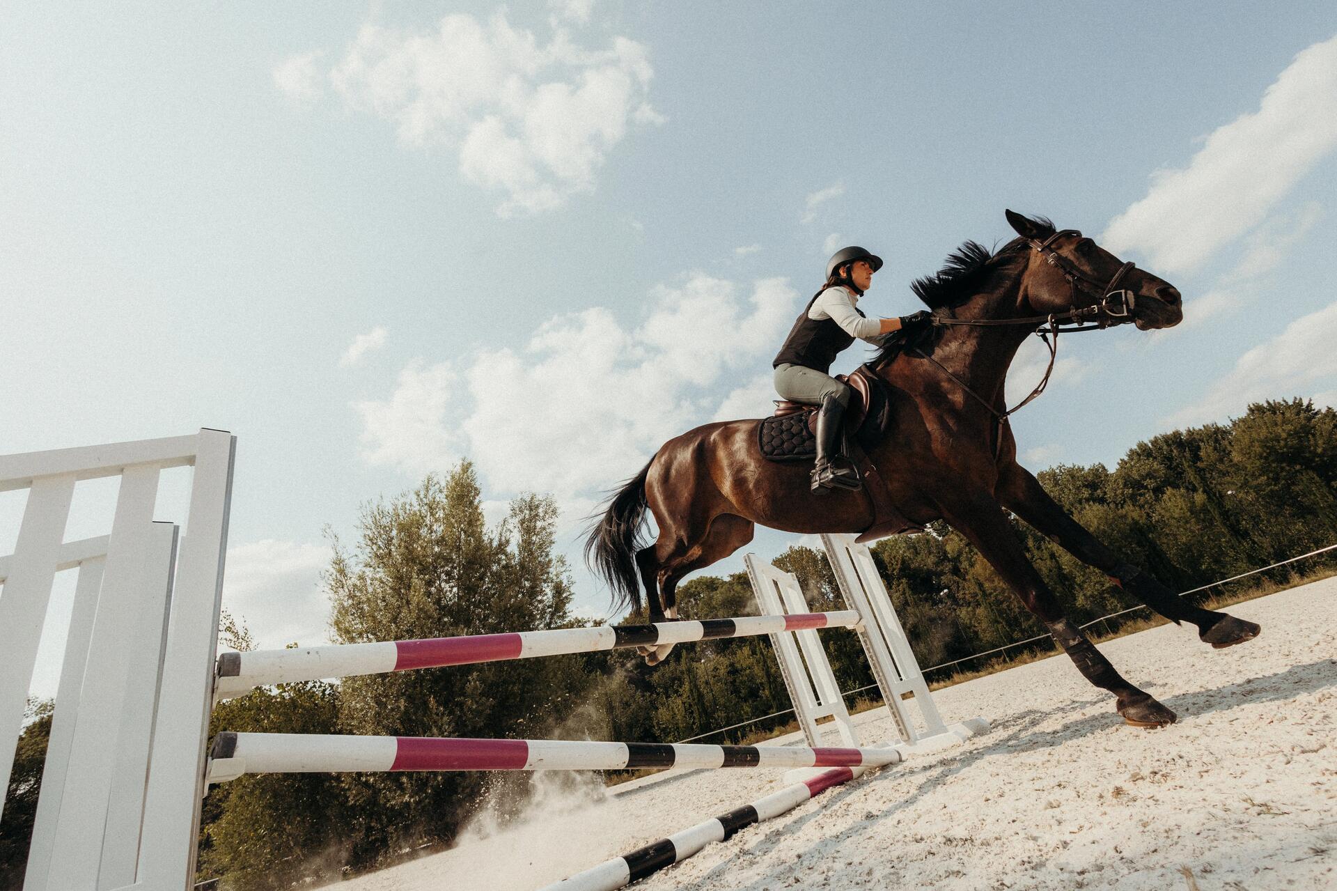 technikai tamogatas sportok szerint