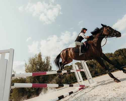 les tapis de selle et les amortisseurs pour l'équitation