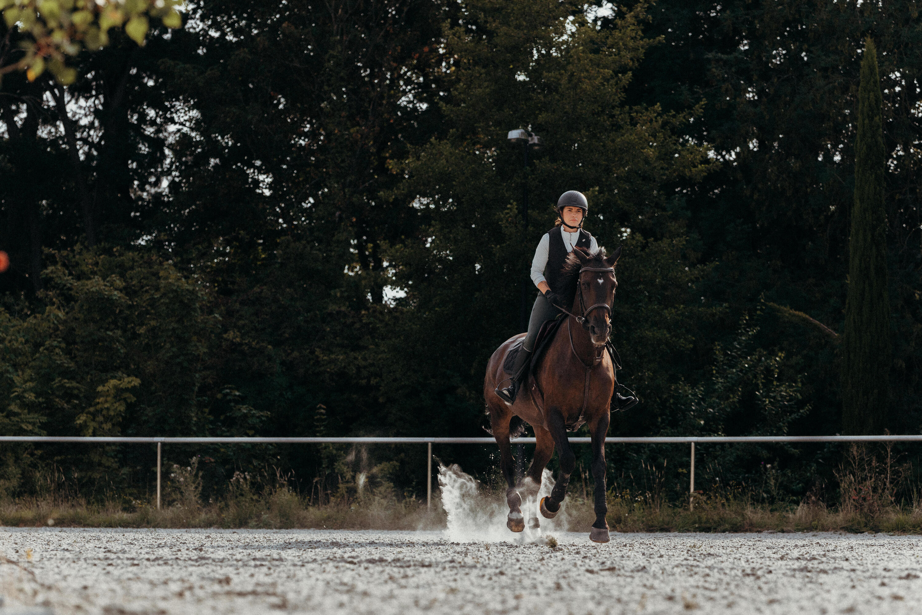 Reitschutzweste Airbag elektronisch Erwachsene schwarz 33/48