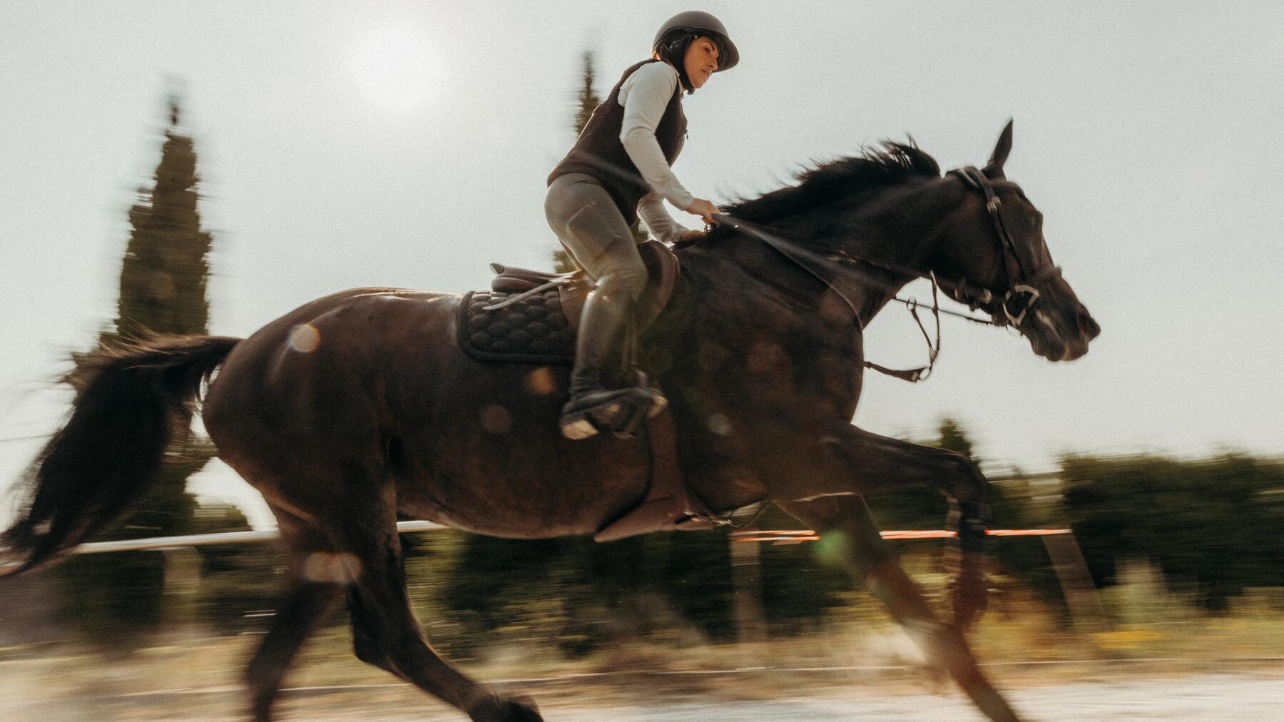 Sauberer Galoppwechsel im Training – Vorbereitung durch versammelten Galopp