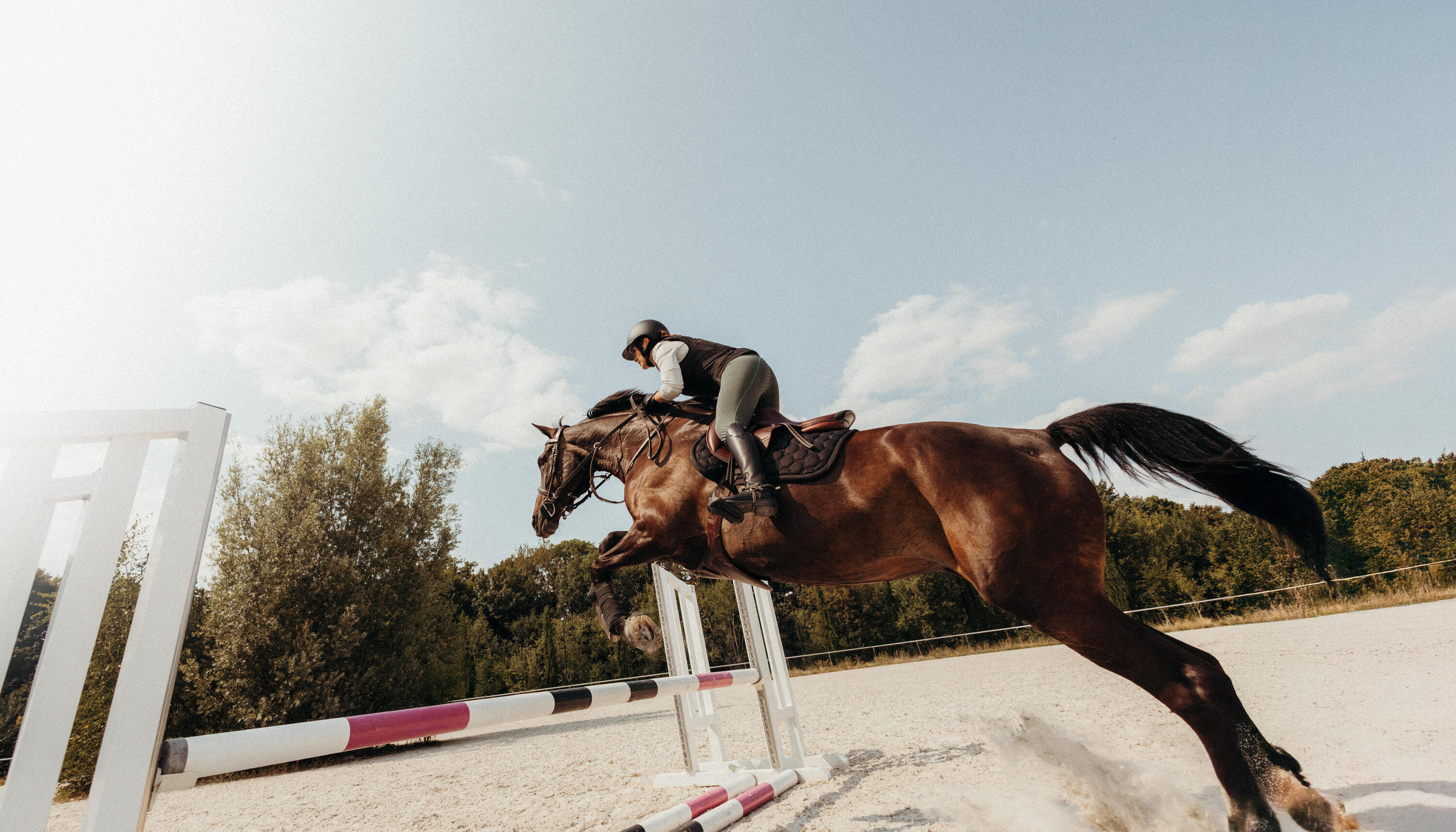 Reitschutzweste Airbag elektronisch Erwachsene schwarz 30/48