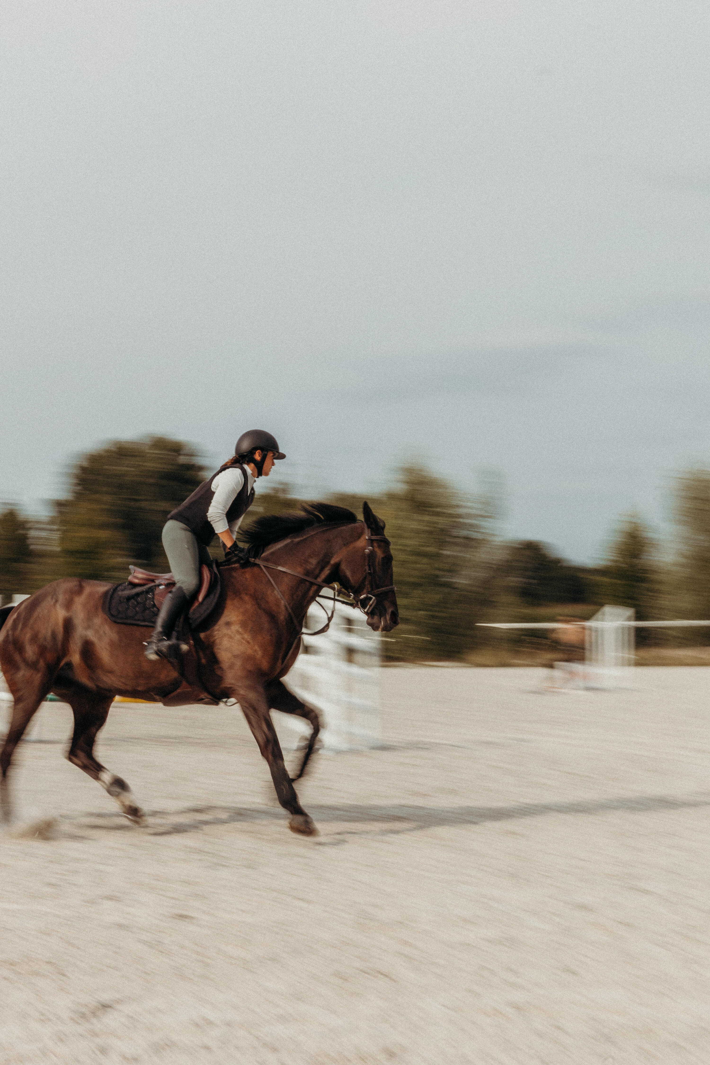 Reitschutzweste Airbag elektronisch Erwachsene schwarz 37/48