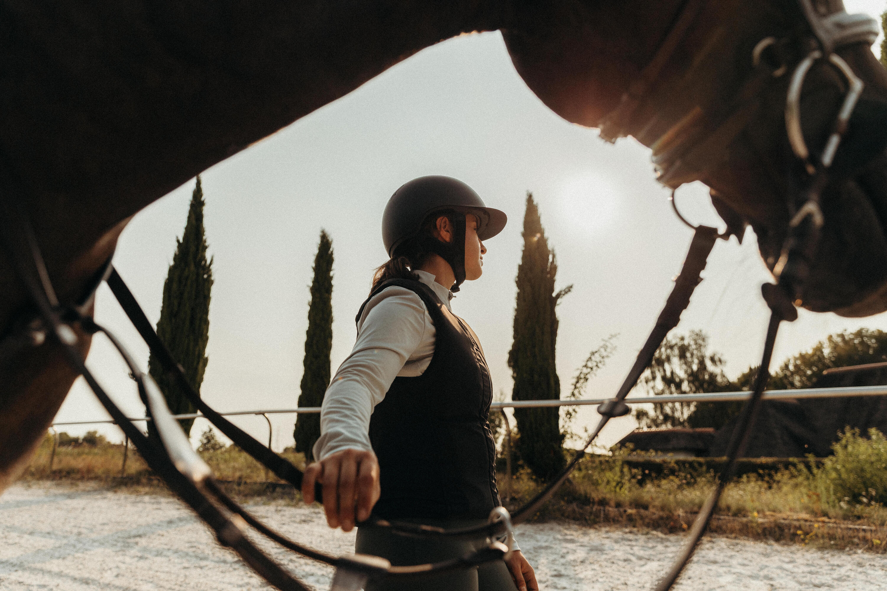 Caballo saltando