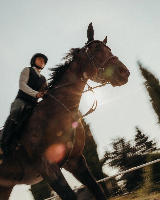 Aufnahme von reiterin auf dem pferd,, im gallop
