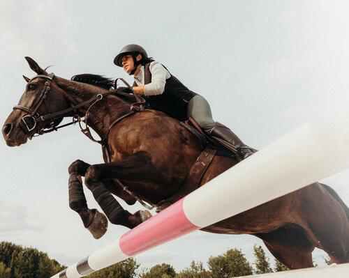 Reitsport
