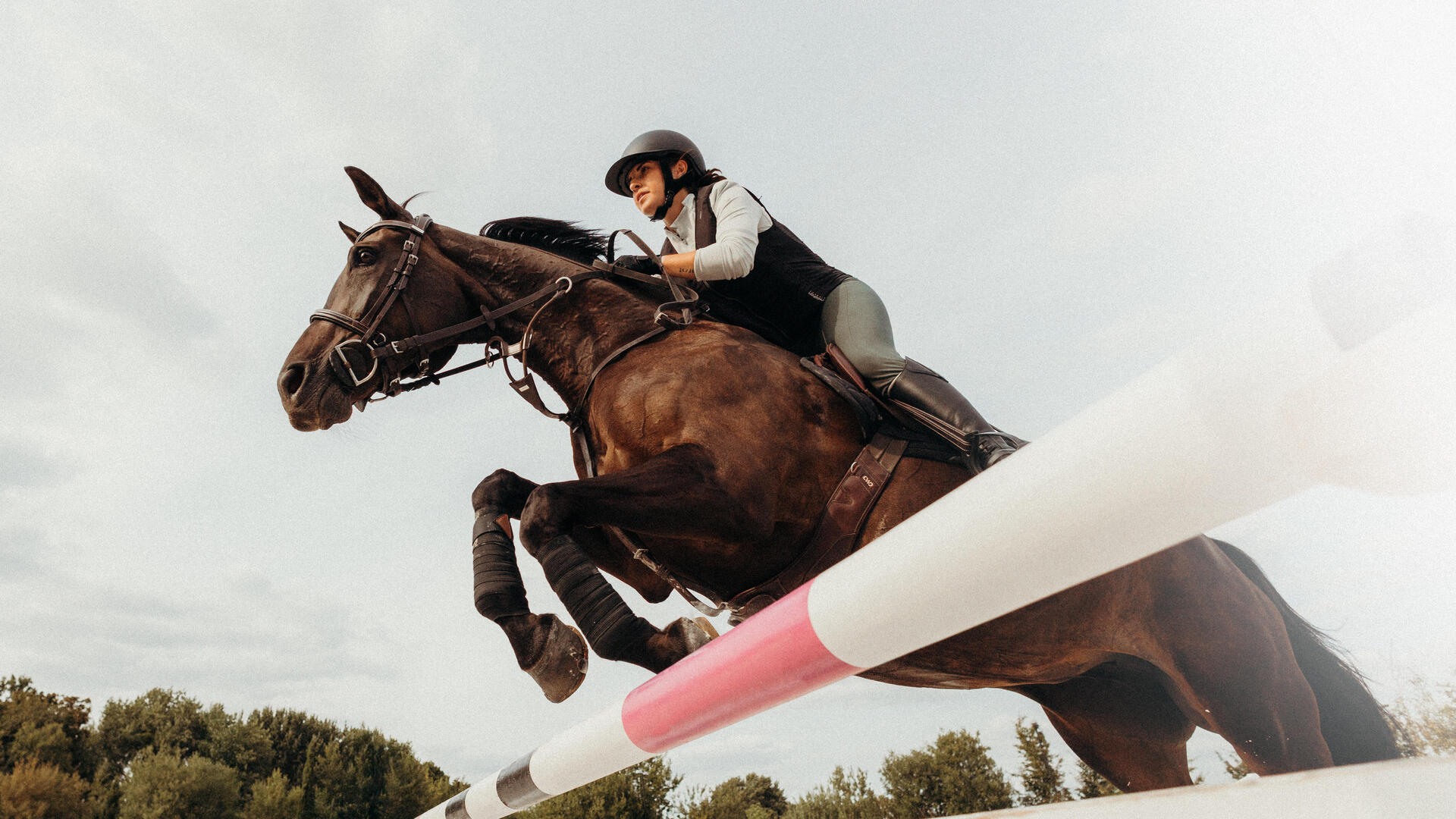 cavalier sur son cheval dans un terrain de pratique
