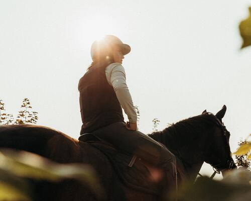 Ist Reiten gesund? Wirkung auf Körper, Geist und Seele