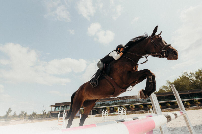 CUM SĂ ALEGI CRAVAȘELE ȘI PINTENII