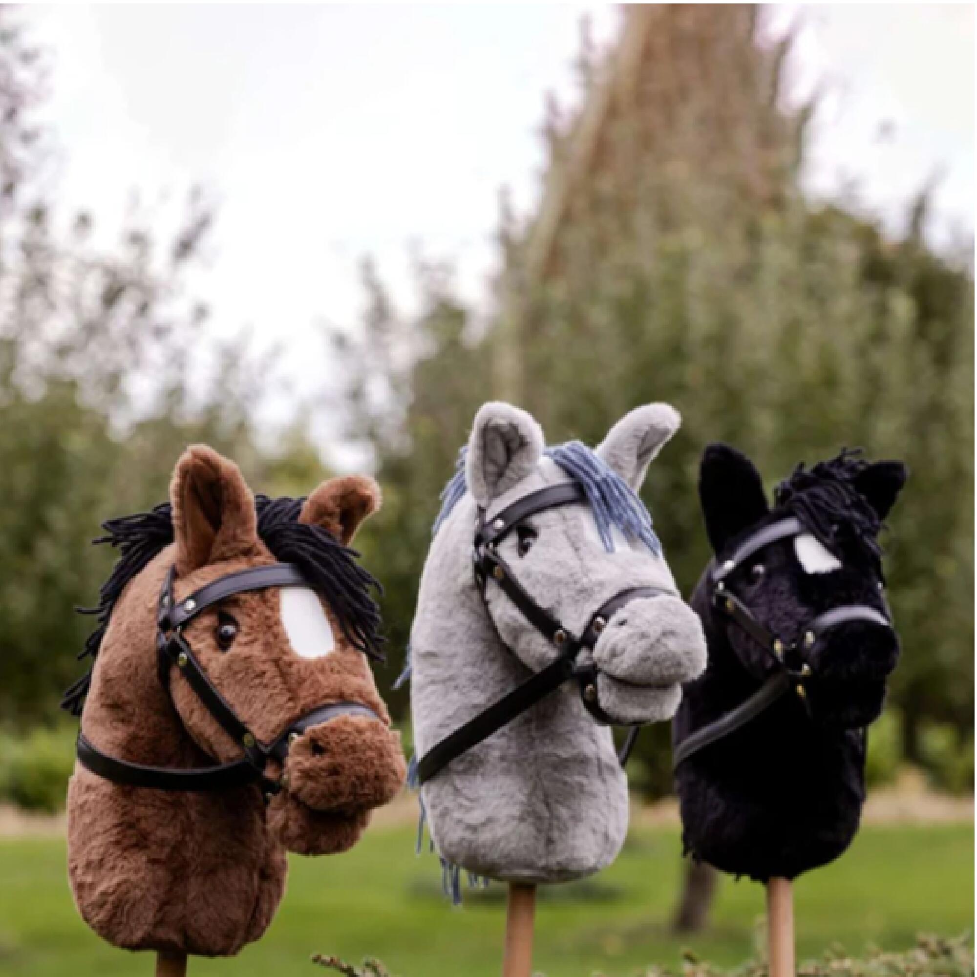 HOBBY HORSE BAI_MAX 2/2